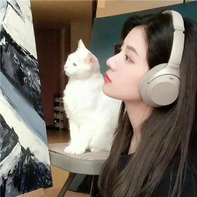 小小便骑士